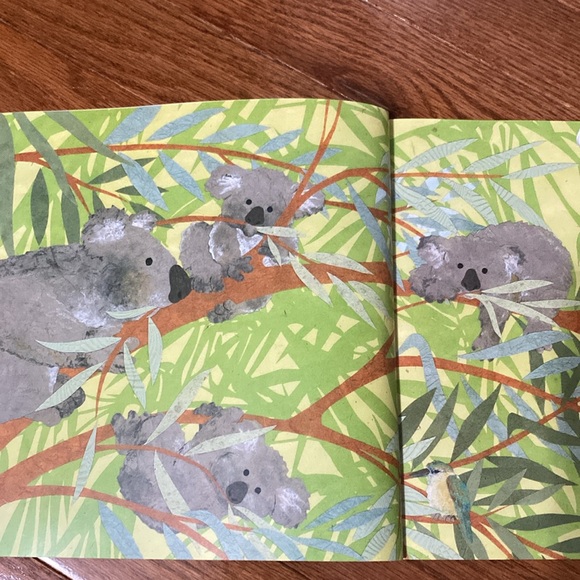 Over in Australia Book & Koala Plush - Picture 11 of 15